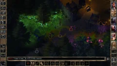 Baldurs Gate II: Enhanced Edition screenshot 1