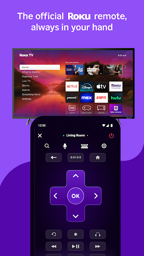 Roku screenshot 1