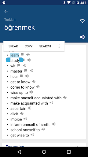 Turkish English Dictionary MOD screenshot 1