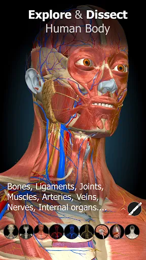 Anatomy Learning MOD screenshot 1