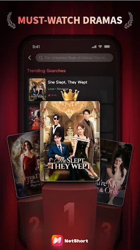 NetShort screenshot 1