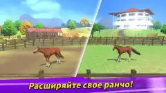 Derby Life screenshot 1