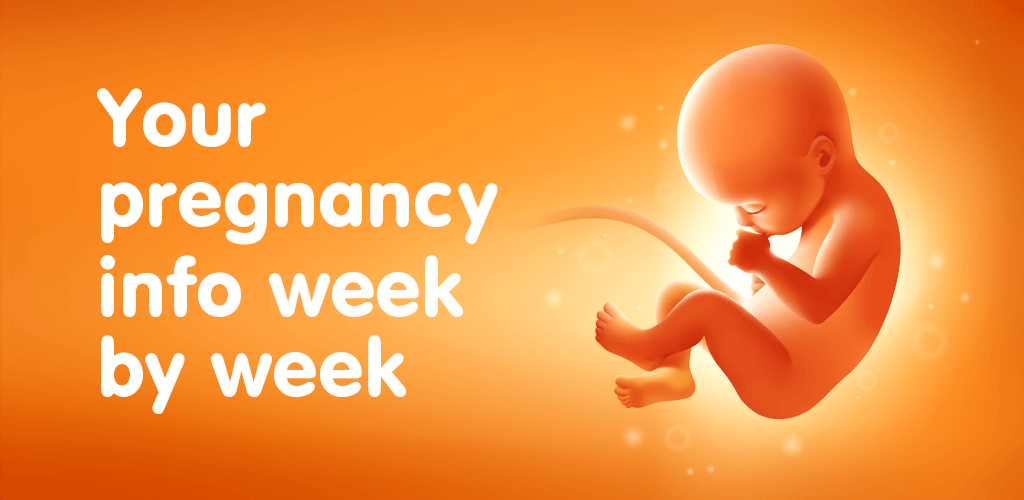 Pregnancy Tracker screenshot 1