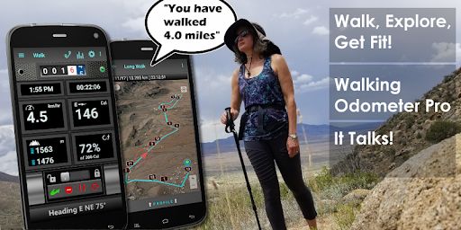 Walking Odometer Pro screenshot 1