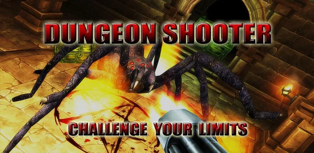 Dungeon Shooter : Dark Temple screenshot 1