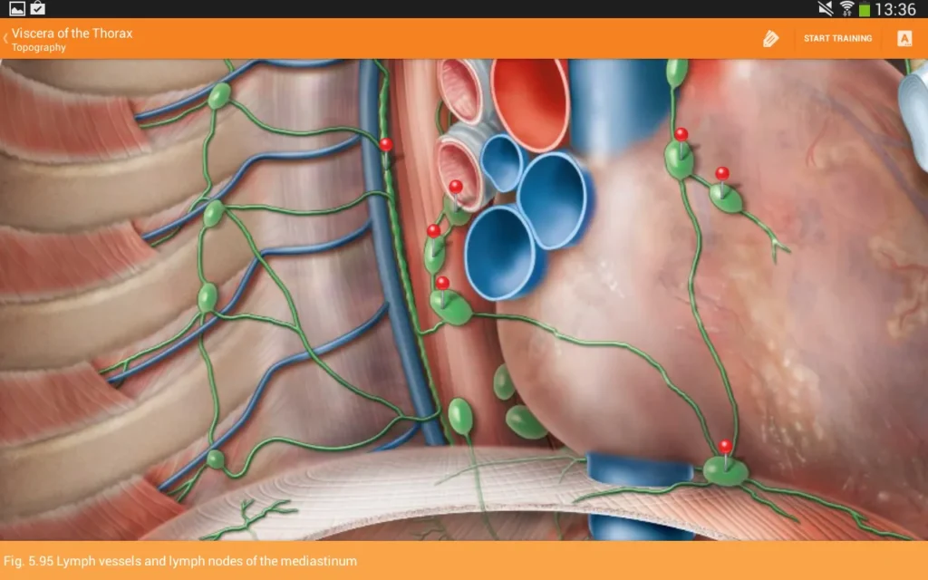 Sobotta Anatomy MOD screenshot 1