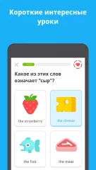 Duolingo screenshot 2