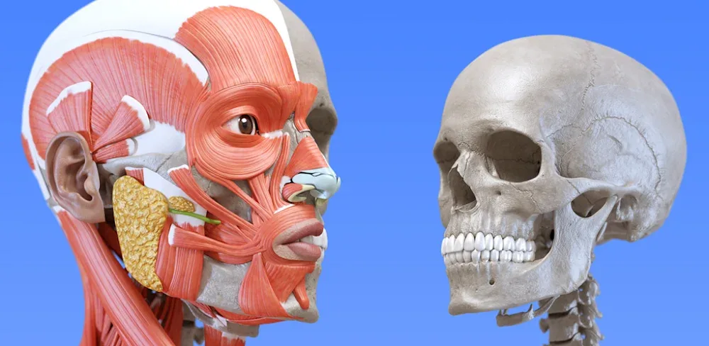 Anatomy 3D Atlas screenshot 1
