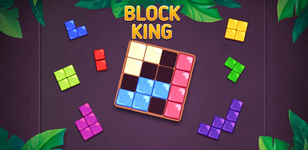 Block King screenshot 1