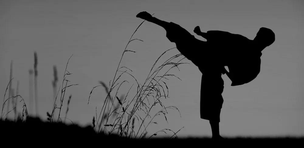 Flexibility for Fighters screenshot 1