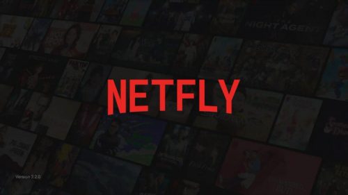 NETFLY screenshot 1