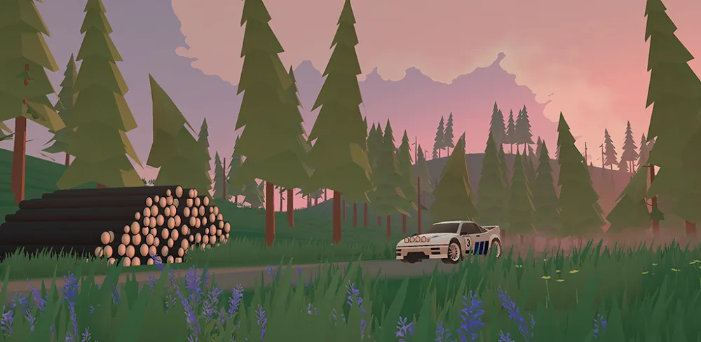 N3Rally screenshot 1