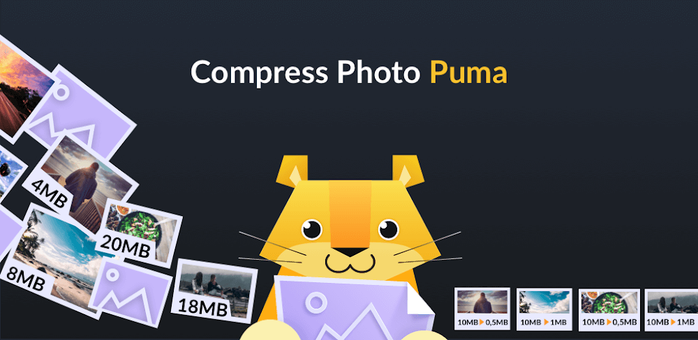 Puma Image Compressor, Resizer screenshot 1