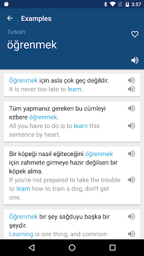 Turkish English Dictionary MOD screenshot 2