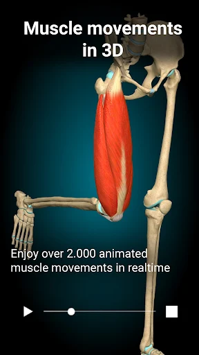 Anatomy Learning MOD screenshot 2