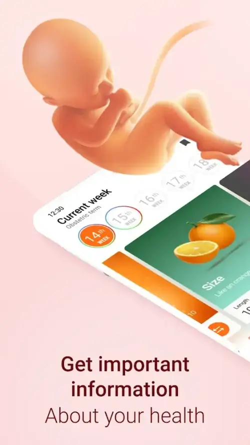 Pregnancy Tracker screenshot 2