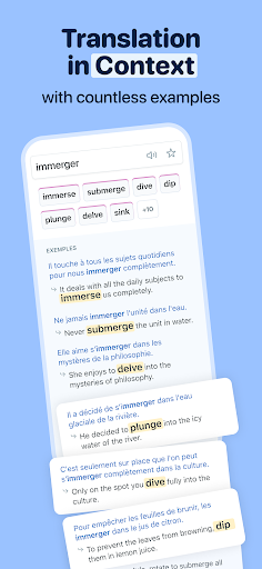 Reverso Translate and Learn MOD screenshot 2