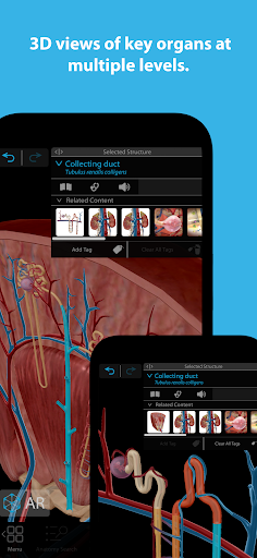 Human Anatomy Atlas 2026 screenshot 2