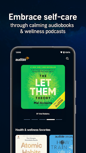 Audible screenshot 2