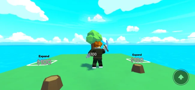 Roblox screenshot 2