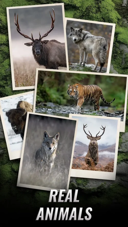 Trophy Hunter – Hunting Game screenshot 2