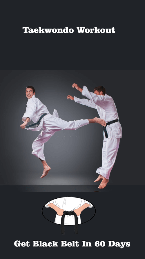 Taekwondo Workout At Home screenshot 2