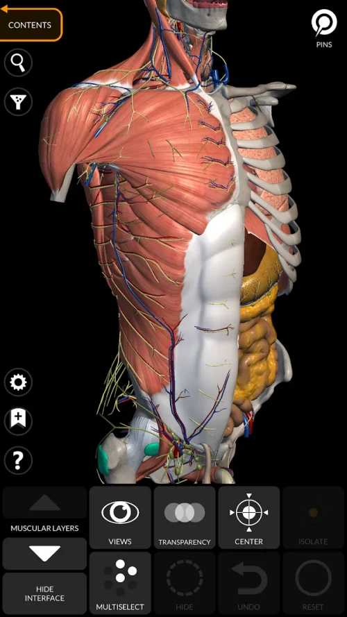 Anatomy 3D Atlas screenshot 2