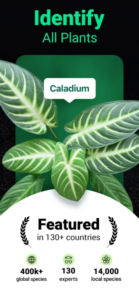 Plantum – Plant Identifier screenshot 2