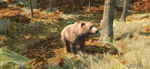 Way of the Hunter Wild Europe screenshot 2