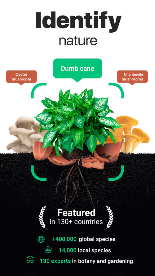 NatureID screenshot 2