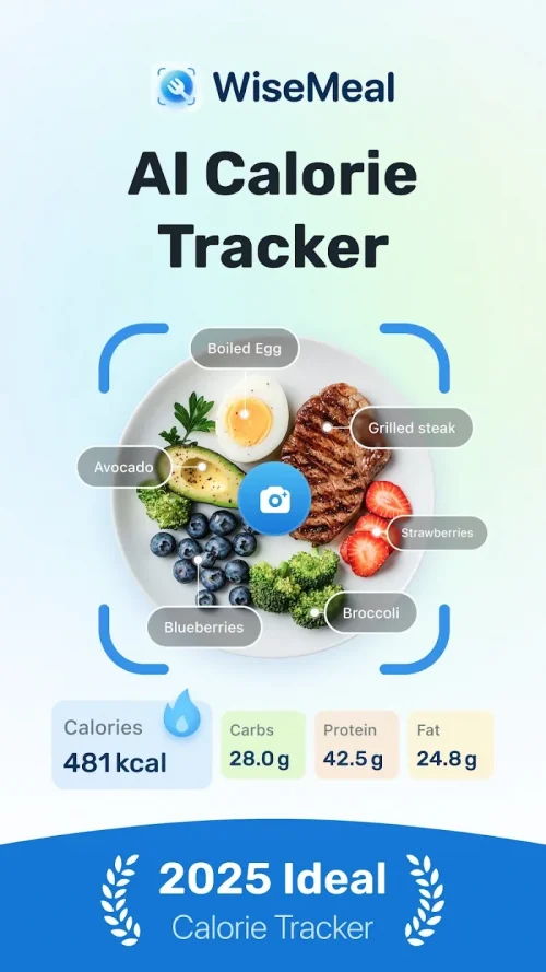 WiseMeal: AI Calorie Tracker screenshot 2