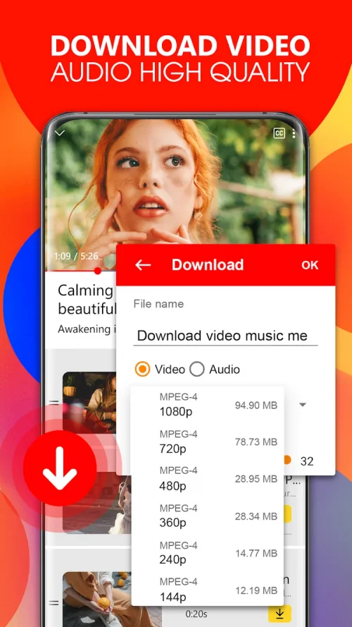 Tube Video Downloader screenshot 2