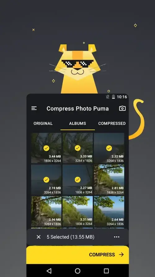 Puma Image Compressor, Resizer screenshot 2