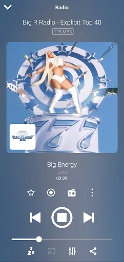 Audials Play Pro screenshot 2