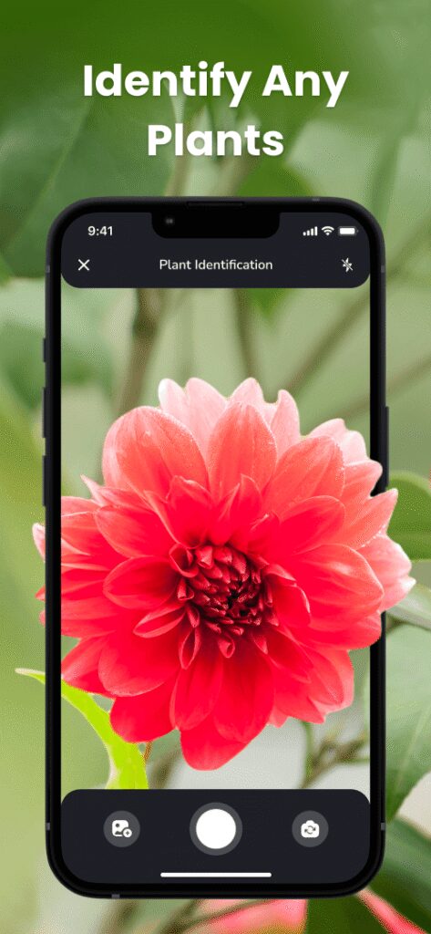 PlantIn: Plant Identification screenshot 2