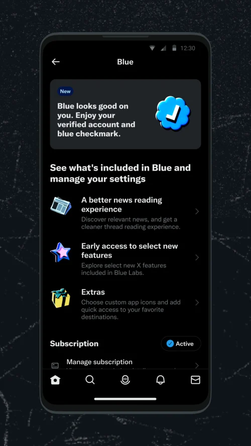 X (Twitter) screenshot 2
