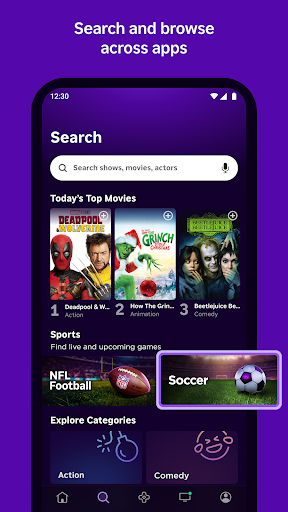 Roku screenshot 2