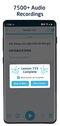 Immersive Chinese MOD screenshot 3
