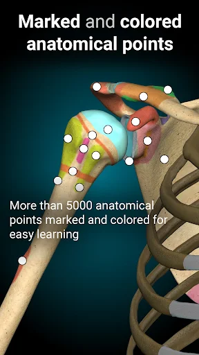 Anatomy Learning MOD screenshot 3