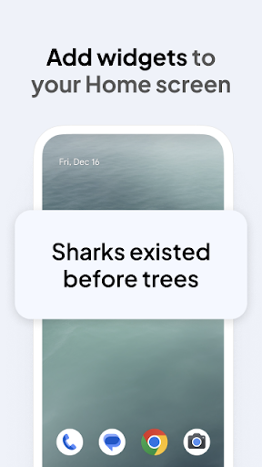 Daily Random Facts screenshot 3