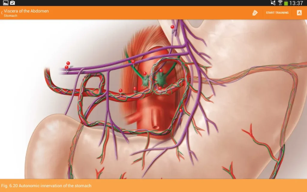 Sobotta Anatomy MOD screenshot 3