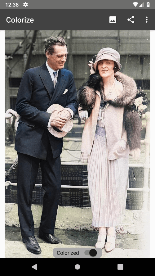 Colorize Images screenshot 3