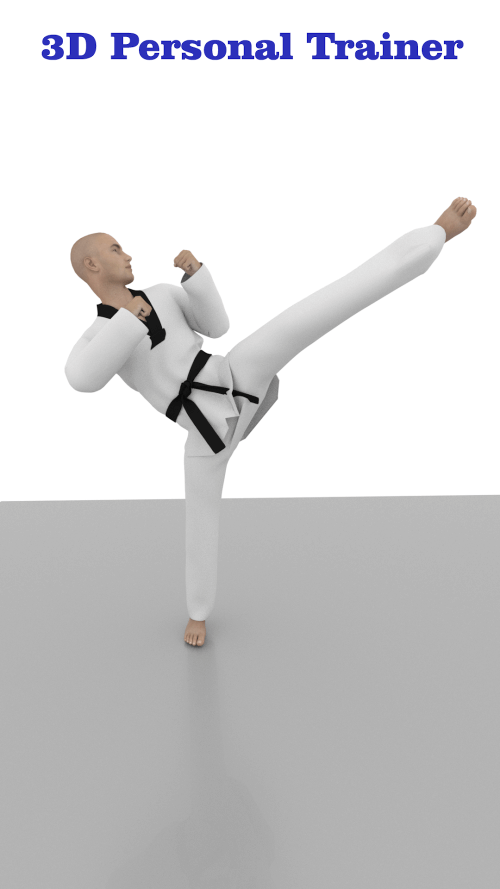 Taekwondo Workout At Home screenshot 3