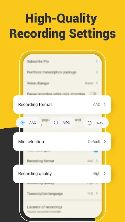 Super Recorder screenshot 3