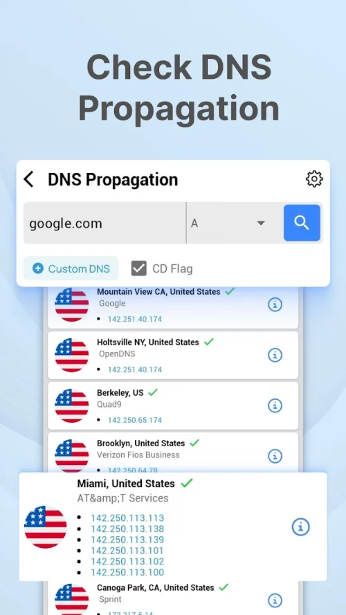DNS Checker – Network Tools screenshot 3