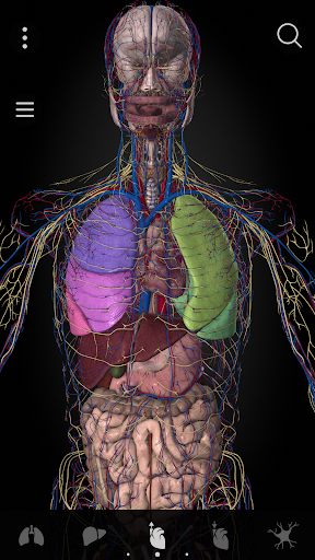 Anatomyka MOD screenshot 3