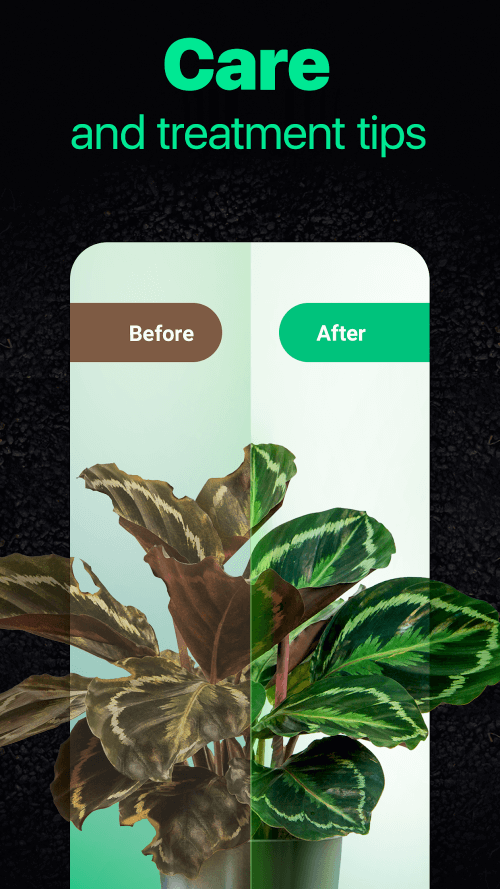 NatureID screenshot 3