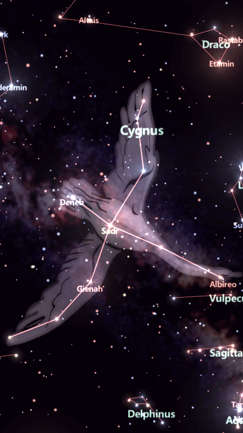 Star Tracker screenshot 3
