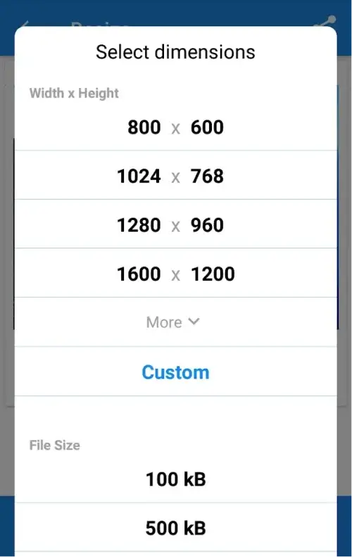 Photo & Picture Resizer screenshot 3
