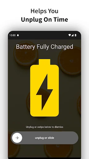 Full Battery Charge Alarm screenshot 3